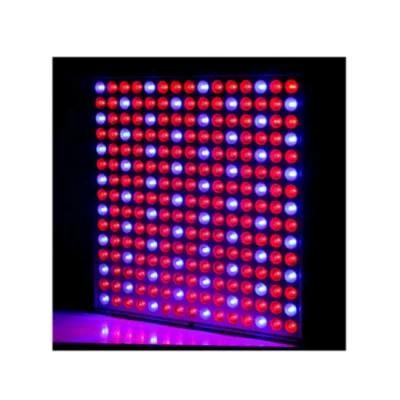 Slim 225PCS*0.2W LED Grow Light 45W 3 Years Warranty