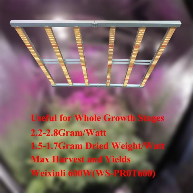 2021 Best Commercial Horticulture Fluence Lm301b Lm301h Full Spectrum 600W LED Grow Light