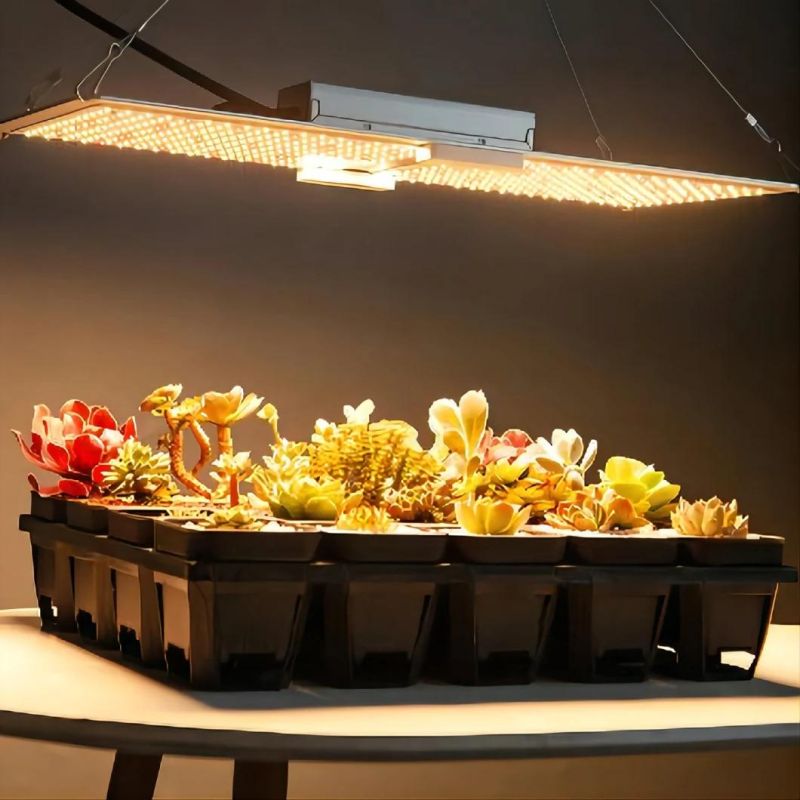 200W UL Certification LED Grow Light Service for Farm Flower Field