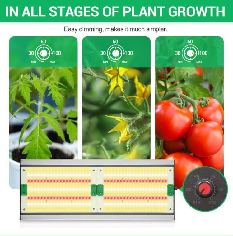 240W Quantum Indoor Plant Growth Board Dimmable Hydroponic Growing Systems Sunlight LED Grow Light