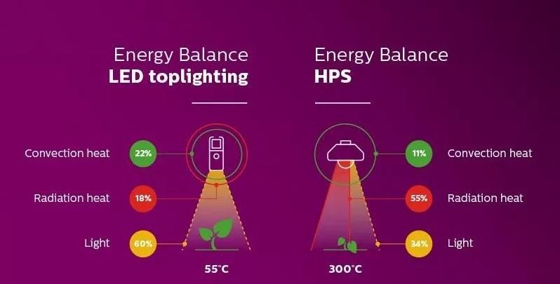 3000K+5000K High Efficient LED Grow Light for Indoor Growing Business