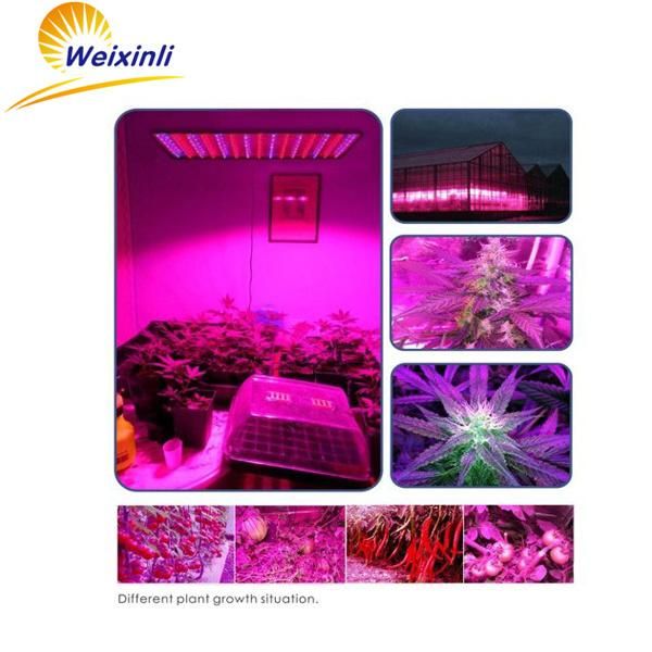 2017 High PAR Output Modular Design 300W Plant LED Grow Lamp