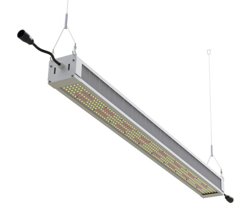 Best High Ppfd 400W Samsung Lm561c/301b Non-Dimmable Full Spectrum LED Grow Light for Greenhouse