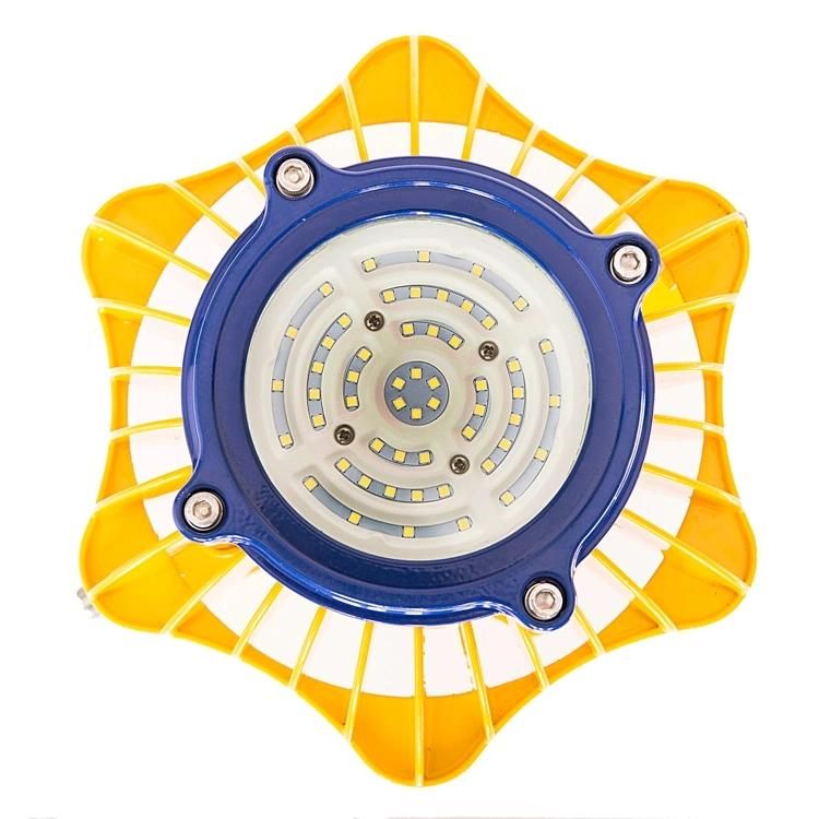 50W Explosion Proof Light