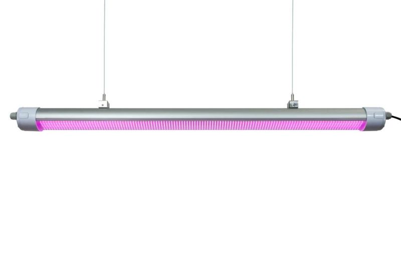 Pink Spectrum/Full Spectrum Waterproof LED Grow Light 200W 160LMW China Manufacturer 5 Years Warranty LED Grows Light