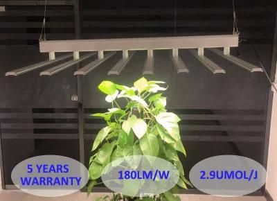 Big Power High Quality Waterproof Plant Grow LED Light for Mushroom House Farm
