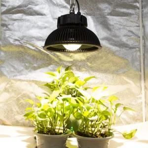 Full Spectrum 240W DIY Kit UFO Cxm32 COB LED Grow Lights for Indoor Greenhouse Special Plants