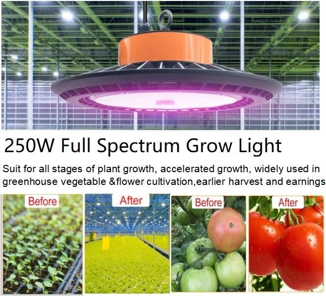 250W LED Plant Grow Light 1000W Equivalent HPS Mh LED Hydroponic Grow Light for Greenhouse