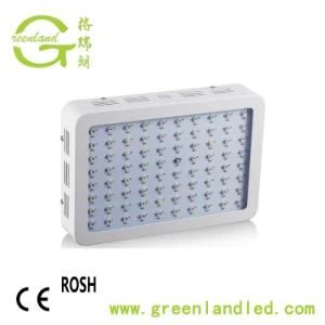 Greenhouses Square Indoor 600W LED Grow Light for Plants&#160;