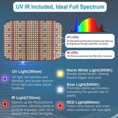 Indoor Greenhouse Grow Tent 130W Seedling, Vegetables, Flower, Full Spectrum Hanging LED Plant Grow Lighting