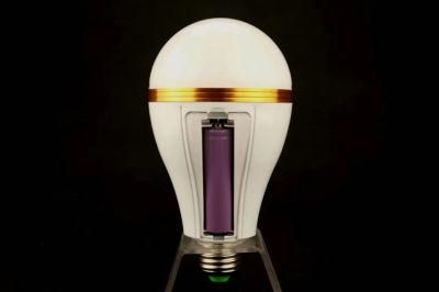 LED Emergency Bulb Light 30W High Power LED Lighting Rechargeable