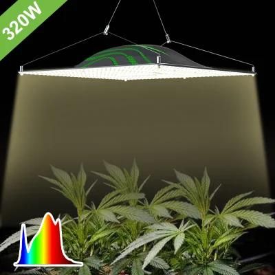 Wholesale Plant Grow Lights Full Spectrum Timer Dimmable Flexible Clip Indoor Greenhouse LED Plant Growth Lights Pvisung LED Grow Light