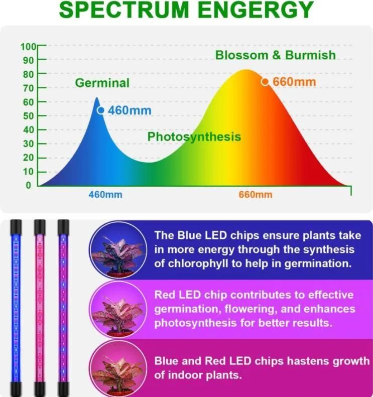 Vertical Farm Hydroponic Irrigation Samsung LED Strip Grow Light Full Spectrum with Plant Growing Light