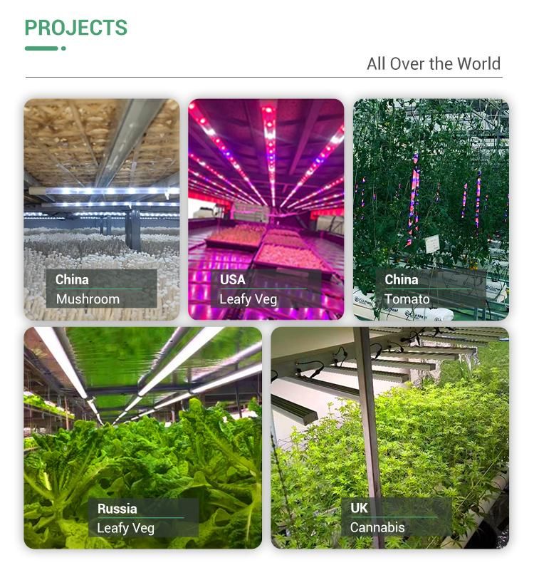 Full Spectrum Interlighting 24 Watt LED Grow Light Tube Bar Waterproof for Plants Growing Vertical Farming