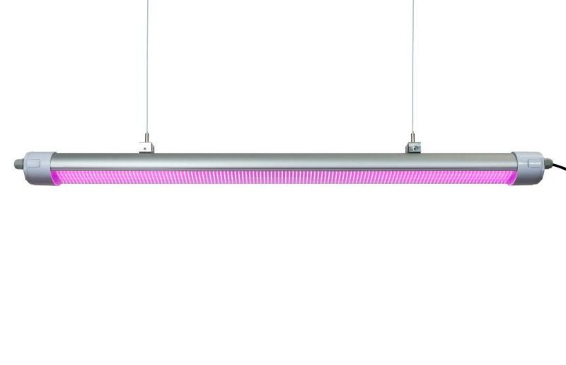 LED Grow Light for Growing Competitive Pink Spectrum 50W 150W 200W LED Plant Light