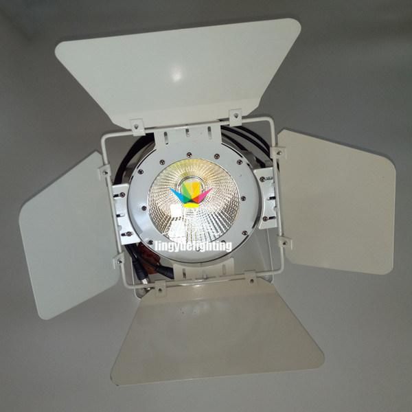 DMX DJ Change Color 100W COB LED PAR