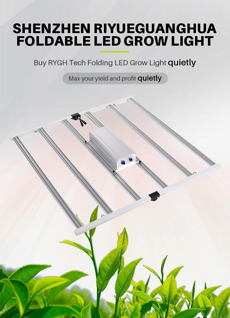 Rygh High Efficiency 2.7umol/J Foldable 640W 600W LED Grow Light for Vertical Plants