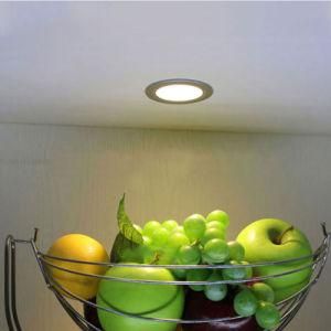 2W Indoor Wine Case Under Cabinet Lights (6511)