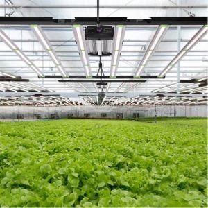 Spider Farmer Us UK Ca EU Au Ru Stock Samsung Full Spectrum Lm301b Lm301h LED Grow Light for Vertical Farming Horticulture