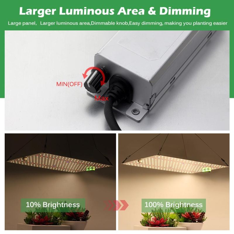 Location in The Greenhourse Bonfire Better Design LED Grow Light with UL Certification