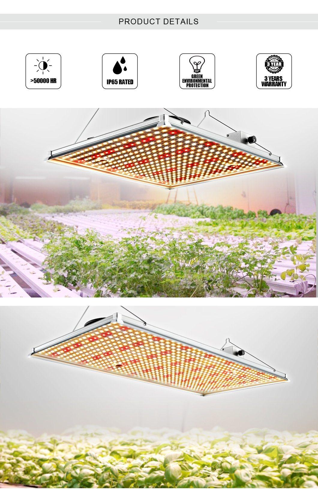 Romanso LED Grow Light Panel IP65 Waterproof 5 Years Warranty ETL RoHS 120W 150W 240W 320W LED Grow Light