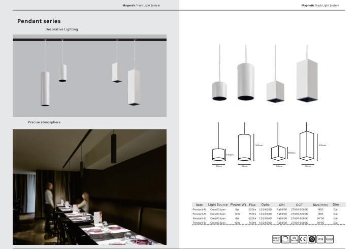 Magnetic Track Light System Pendant Gloal Light Source Serials