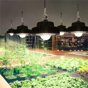 Plant Light for Garden COB CREE Cxb3590 Cxb 3590 Panel Full Spectrum UV IR Horticulture Commercial LED Grow Light Indoor Plants