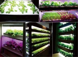 2 Years guarantee LED 18W bulb grow lamp