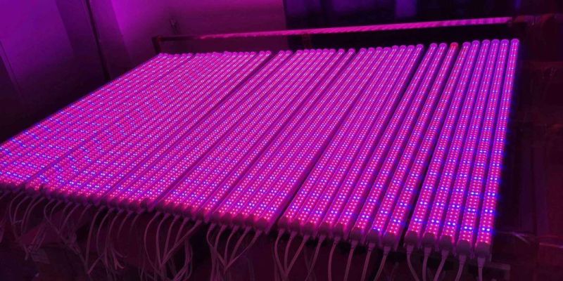 Agriculture LED Light 1200W Full Spectrum LED Grow Light