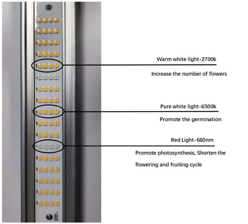 800W LED Grow Light for Indoor Plants, Indoor Farming Horticulture Light with UL, RoHS