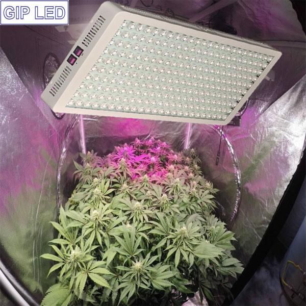 1000watt 1200W LED Grow Light with Big Yield Veg & Bloom