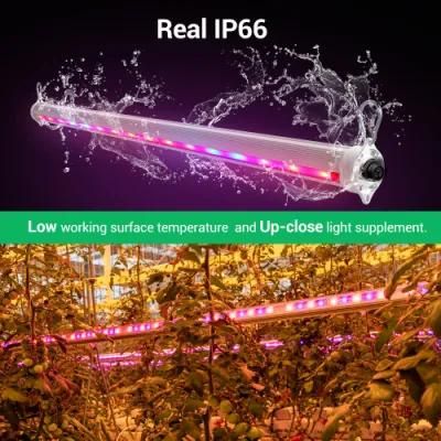 LED Interlight Full Spectrum 2 Sides 4sides LED Grow Lights for Indoor Plants