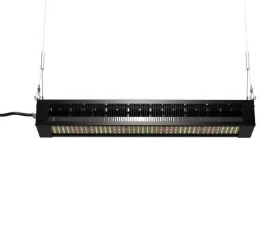 Ilummini High Efficiency IP65 Waterproof LED Grow Light 320W with IP67 Mean Well Driver