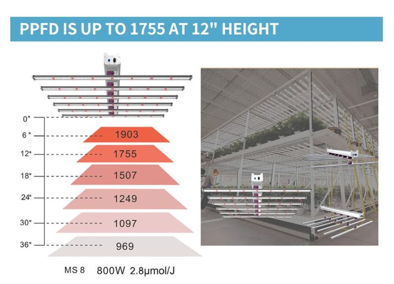 Adjustable Full Spectrum LED Grow Light for Hydroponics Commercial Lighting