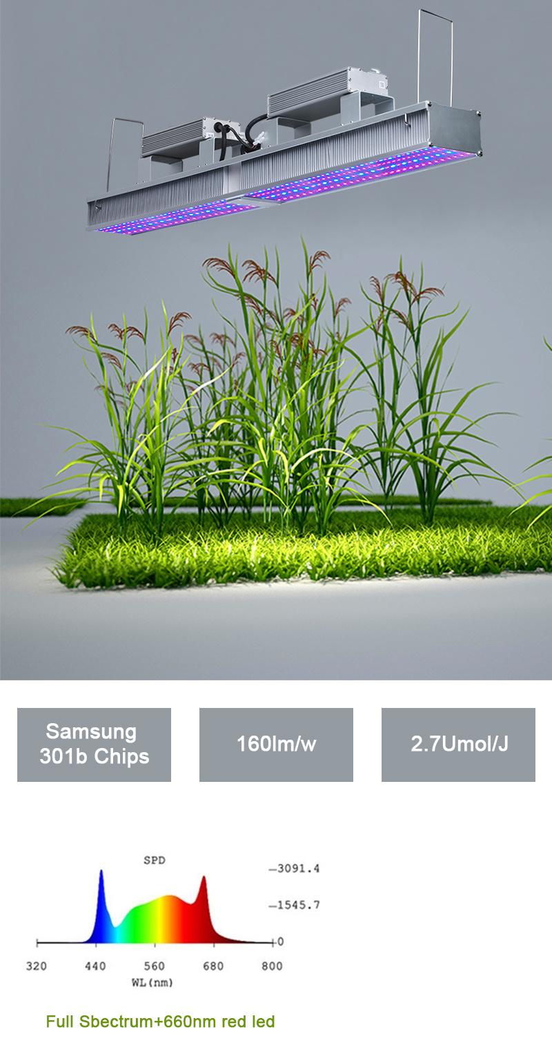 LED Greenhouse Grow Light Indoor Plants 600W LED Commercial Grow Light