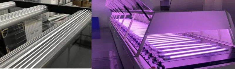 Horticulture LED Grow Light for Indoor Plants/Meijiu/ Canabi S/ Leafy Greens