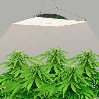 320W Full Spectrum Greenhouse Hydroponic Systems Plant Lamp LED Grow Light Pvisung Retractable Samsung LED Grow Light