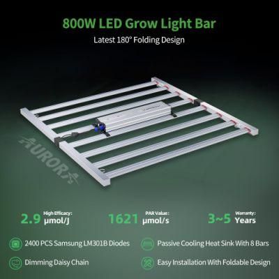 LED Grow Light Lm301h UV IR 800W 1000W Full Spectrum Indoor Growing Light