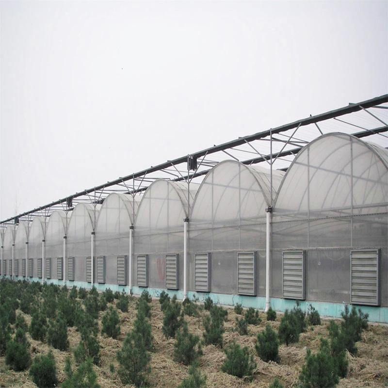 LED Grow Light Lighting System for Agriculture Greenhouse