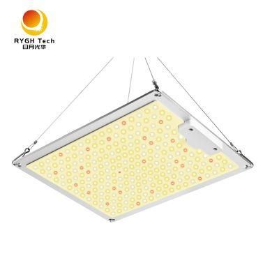 Indoor 100W Samsung Lm281 Dimmable Panel LED Plant Grow Light