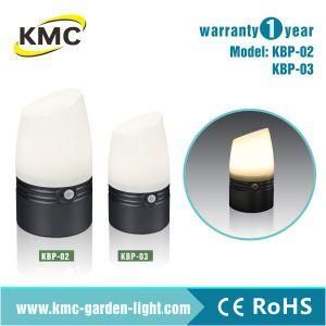 PIR Battery Night Light