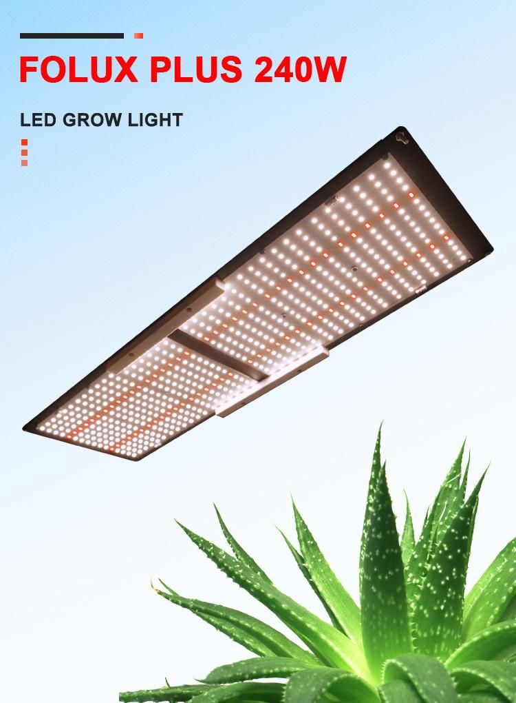 Factory Wholesale 240W 300W Quantum Qb Panel LED Light Grow Light with Full Spectrum