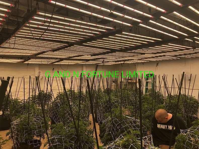 Indoor High Efficacy 640W Full Spectrum LED Grow Lights