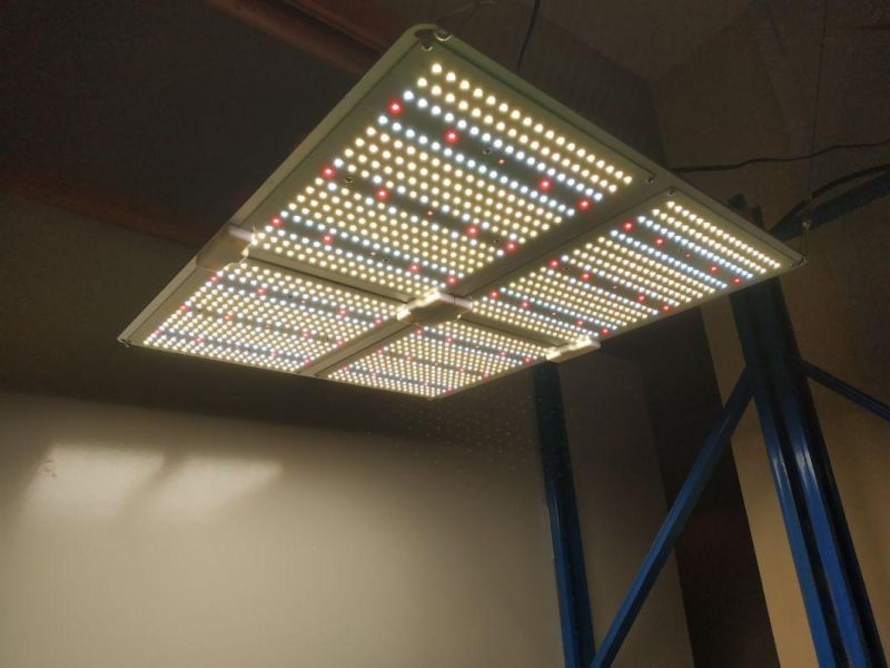 UL Certification LED Grow Light Service for Farm Flower Field