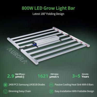 Hydroponic Container Dimmable 800W Full Spectrum LED Grow Light with Samsung Lm301b Lm301h