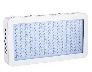 60W/80W/100W/120W/150W/180W/240W/360W/480W/600W/800W Sun Like LED Grow Light Supplier for Flowers Garden