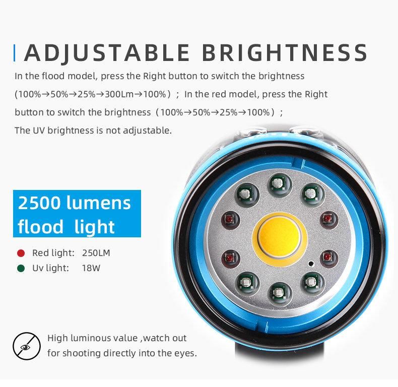 Light Weight Portable Underwater 2500 Lumen IP68 Waterproof Diving Light with Smart Focus