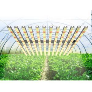 8 Bar LED Grow Light 650W High Ppfd LED Grow Light Lm301b