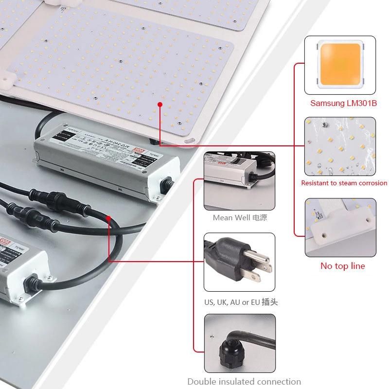 Bonfire 100W 3 Years Warranty LED Growth Light with UL Certification