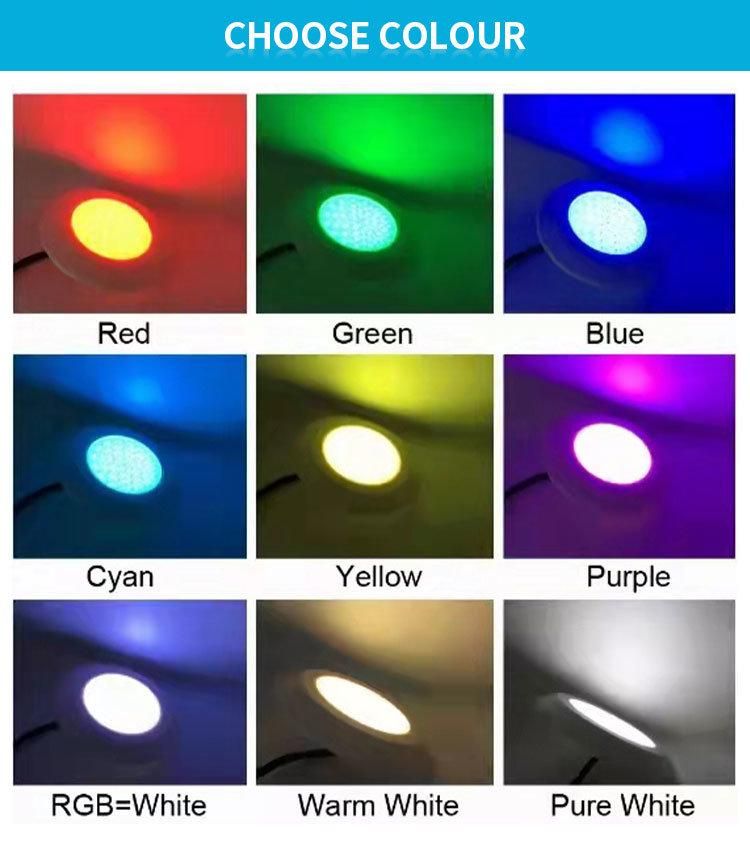 IP68 Waterproof LED Colorful Pool Lights